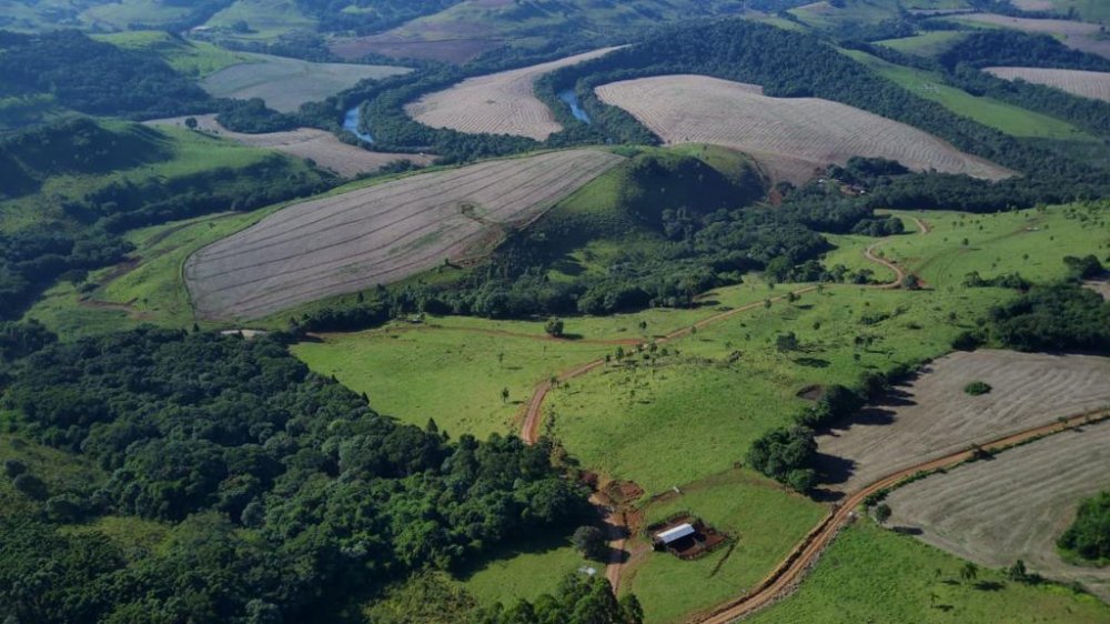 Fazenda - Venda - Piquiri - Santa Maria do Oeste - PR