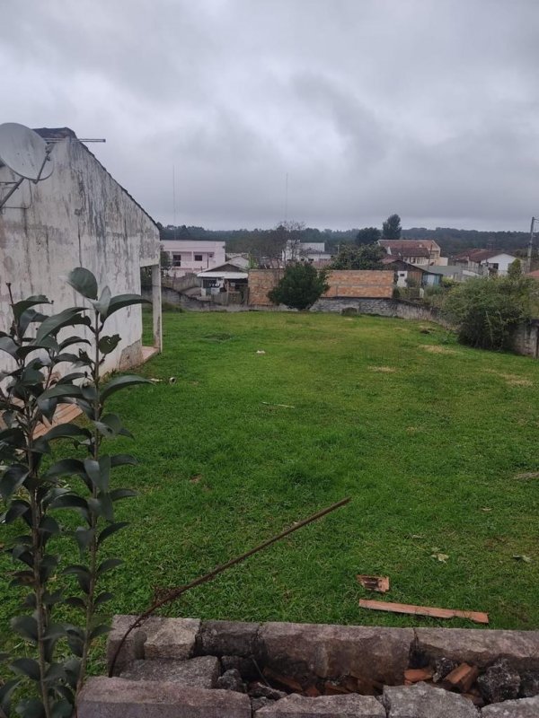 Terreno à venda em Borda do Campo (localização privilegiada) Bluefox Imobiliária Terreno à venda em Borda do Campo (localização privilegiada) Bluefox Imobiliária