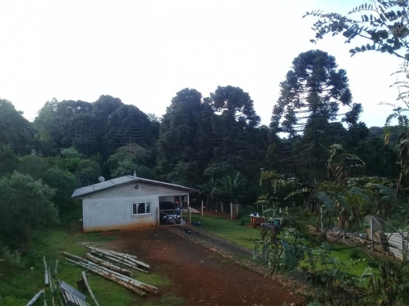 Chácara - Venda - Zona Rural - Pitanga - PR
